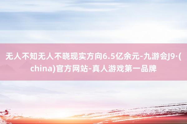 无人不知无人不晓现实方向6.5亿余元-九游会J9·(china)官方网站-真人游戏第一品牌