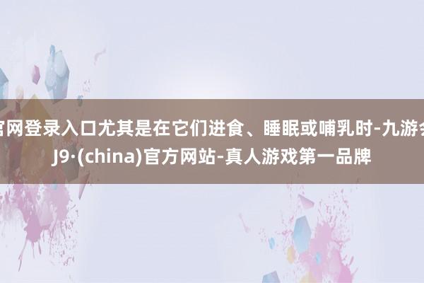官网登录入口尤其是在它们进食、睡眠或哺乳时-九游会J9·(china)官方网站-真人游戏第一品牌
