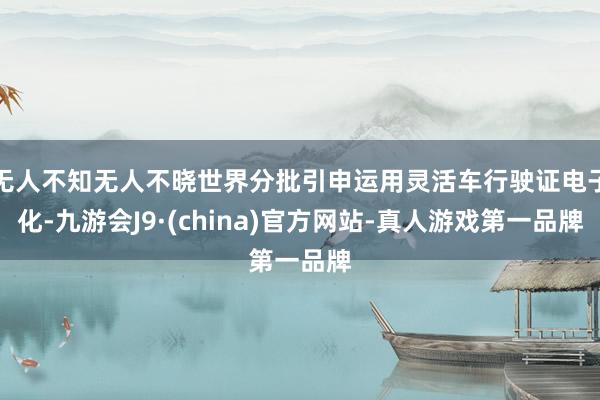 无人不知无人不晓世界分批引申运用灵活车行驶证电子化-九游会J9·(china)官方网站-真人游戏第一品牌