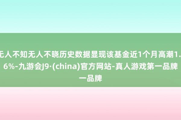 无人不知无人不晓历史数据显现该基金近1个月高潮1.16%-九游会J9·(china)官方网站-真人游戏第一品牌