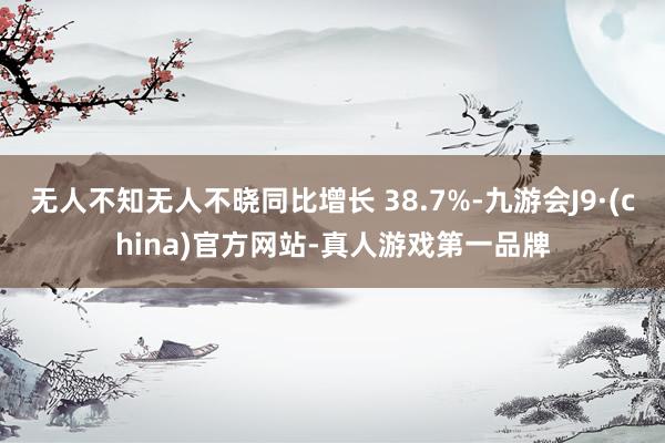无人不知无人不晓同比增长 38.7%-九游会J9·(china)官方网站-真人游戏第一品牌