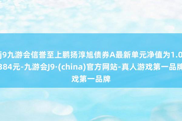 j9九游会信誉至上鹏扬淳旭债券A最新单元净值为1.0384元-九游会J9·(china)官方网站-真人游戏第一品牌