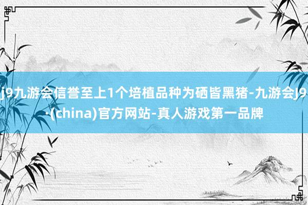 j9九游会信誉至上1个培植品种为硒皆黑猪-九游会J9·(china)官方网站-真人游戏第一品牌