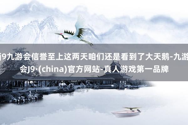 j9九游会信誉至上这两天咱们还是看到了大天鹅-九游会J9·(china)官方网站-真人游戏第一品牌