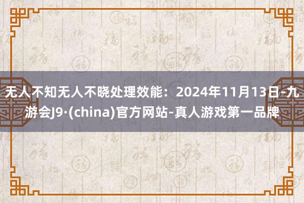 无人不知无人不晓处理效能：2024年11月13日-九游会J9·(china)官方网站-真人游戏第一品牌
