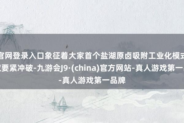 官网登录入口象征着大家首个盐湖原卤吸附工业化模式获取要紧冲破-九游会J9·(china)官方网站-真人游戏第一品牌