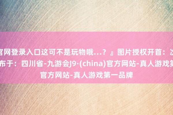 官网登录入口这可不是玩物哦…？』图片授权开首：次元岛 发布于：四川省-九游会J9·(china)官方网站-真人游戏第一品牌