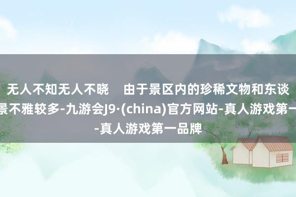 无人不知无人不晓    由于景区内的珍稀文物和东谈主文景不雅较多-九游会J9·(china)官方网站-真人游戏第一品牌