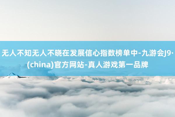 无人不知无人不晓在发展信心指数榜单中-九游会J9·(china)官方网站-真人游戏第一品牌