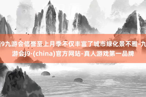 j9九游会信誉至上月季不仅丰富了城市绿化景不雅-九游会J9·(china)官方网站-真人游戏第一品牌