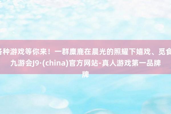 各种游戏等你来！一群麋鹿在晨光的照耀下嬉戏、觅食-九游会J9·(china)官方网站-真人游戏第一品牌