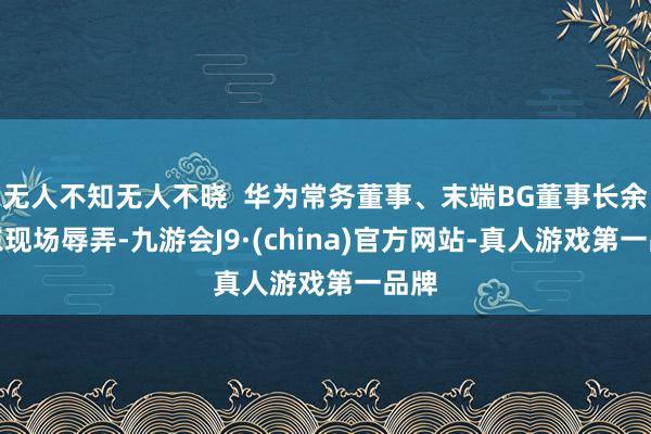 无人不知无人不晓  华为常务董事、末端BG董事长余承东现场辱弄-九游会J9·(china)官方网站-真人游戏第一品牌