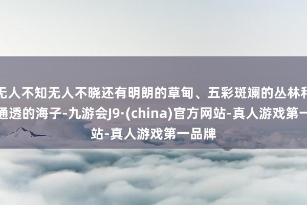 无人不知无人不晓还有明朗的草甸、五彩斑斓的丛林和碧蓝通透的海子-九游会J9·(china)官方网站-真人游戏第一品牌
