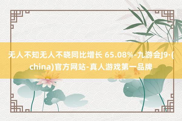 无人不知无人不晓同比增长 65.08%-九游会J9·(china)官方网站-真人游戏第一品牌
