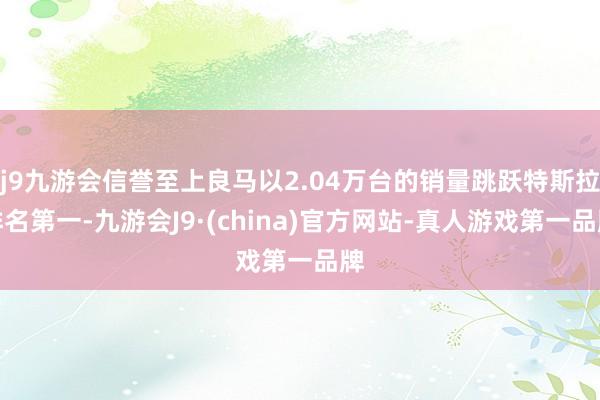 j9九游会信誉至上良马以2.04万台的销量跳跃特斯拉排名第一-九游会J9·(china)官方网站-真人游戏第一品牌