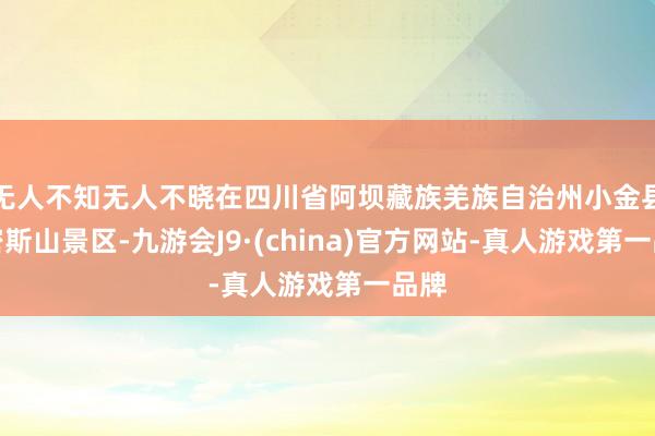 无人不知无人不晓在四川省阿坝藏族羌族自治州小金县四密斯山景区-九游会J9·(china)官方网站-真人游戏第一品牌