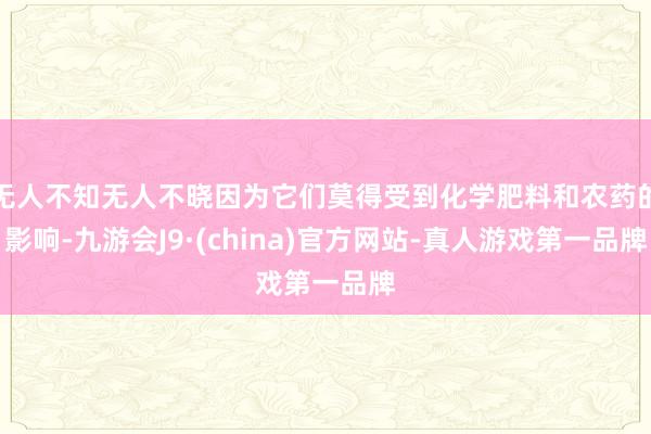 无人不知无人不晓因为它们莫得受到化学肥料和农药的影响-九游会J9·(china)官方网站-真人游戏第一品牌
