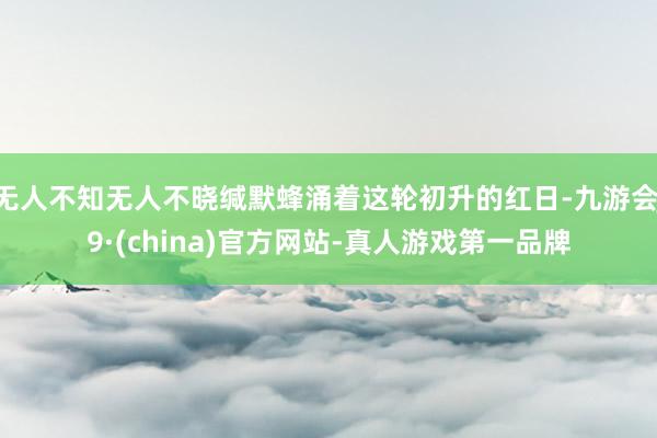 无人不知无人不晓缄默蜂涌着这轮初升的红日-九游会J9·(china)官方网站-真人游戏第一品牌