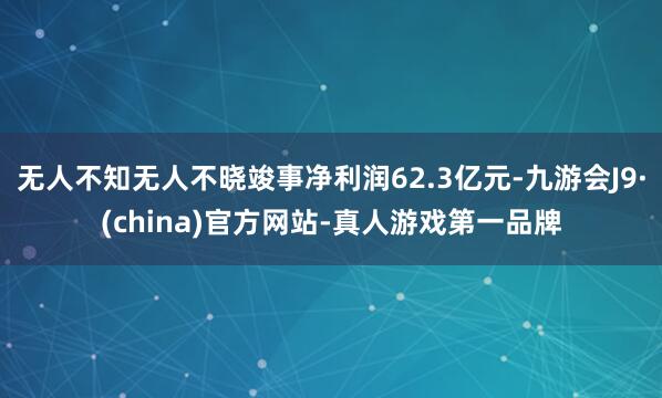无人不知无人不晓竣事净利润62.3亿元-九游会J9·(china)官方网站-真人游戏第一品牌