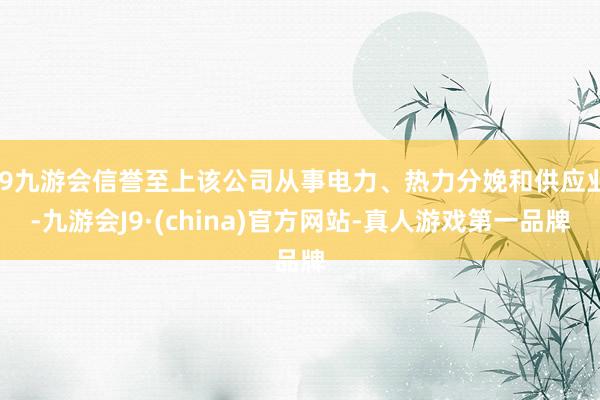j9九游会信誉至上该公司从事电力、热力分娩和供应业-九游会J9·(china)官方网站-真人游戏第一品牌